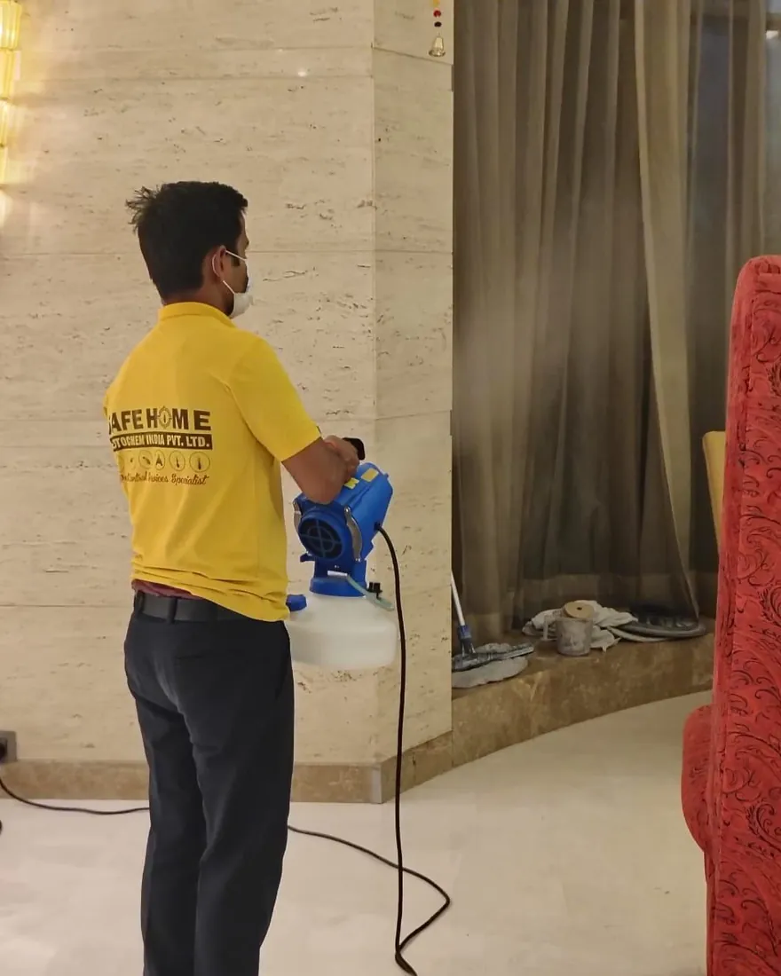 Safe Home Pestochem technician: treating upholstery and curtains during a bed bug service