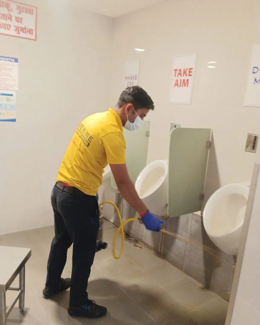 Safe Home Pestochem technician: treating a washroom — silverfish favour damp, humid rooms