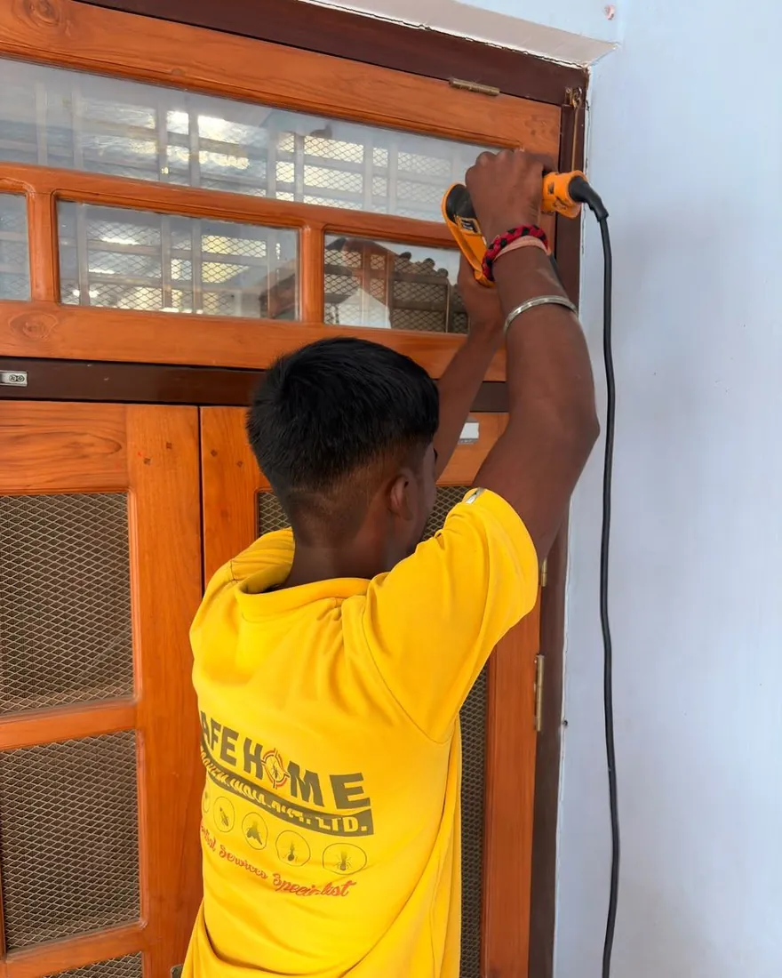 Safe Home Pestochem technician: treating a wooden door frame for wood borers