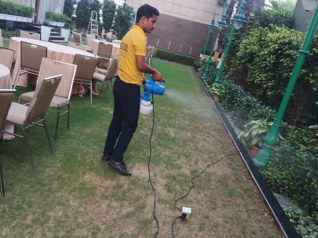 Lawn and garden mosquito treatment at a residential property