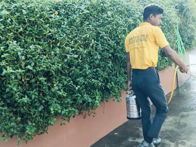 Mosquito treatment along outdoor hedges